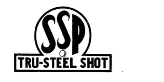 SSP TRU-STEEL SHOT