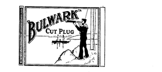 BULWARK CUT PLUG