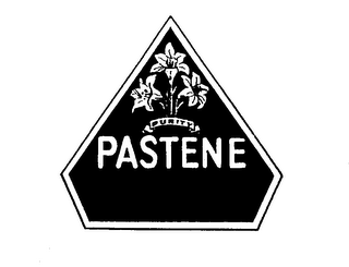 PASTENE PURITY trademark