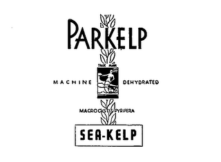 PARKELP SEA-KELP MACHINE DEHYDRATED MACROCYSTIS-PYRIFERS.