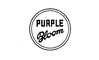 PURPLE BLOOM