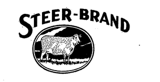 STEER-BRAND