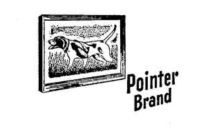 POINTER BRAND trademark