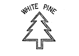 WHITE PINE