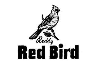 REDDY RED BIRD trademark