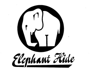 ELEPHANT HIDE