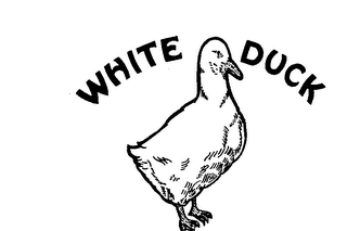 WHITE DUCK