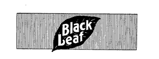 BLACK LEAF