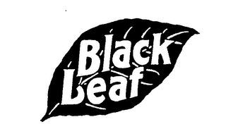 BLACK LEAF