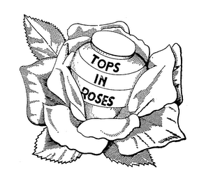 TOPS IN ROSES