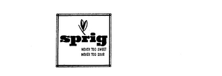 SPRIG trademark