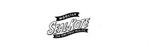 WOOSTER SEAL-KOTE THE ONE COAT PLASTIC
