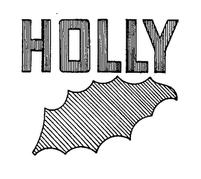 HOLLY