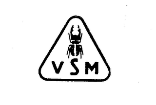 VSM