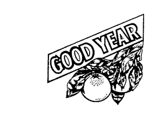 GOOD YEAR