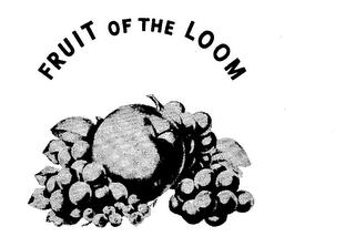 FRUIT OF THE LOOM trademark