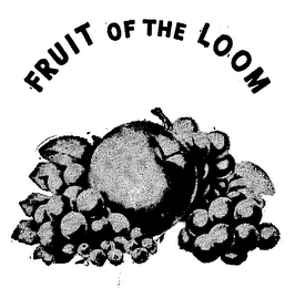 FRUIT OF THE LOOM trademark