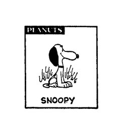 PEANUTS SNOOPY
