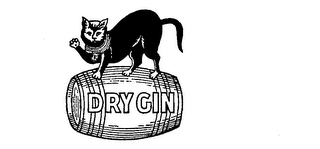 DRY GIN