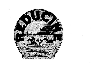 REDUCINE trademark