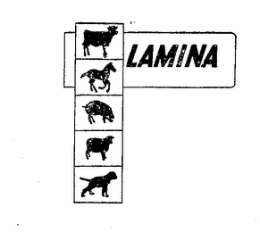 LAMINA