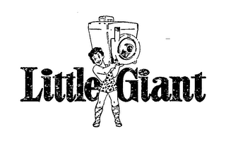 LITTLE GIANT