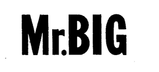 MR.BIG