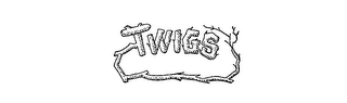 TWIGS