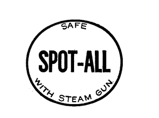 SPOT-ALL SAFE WITH STEAM GUN