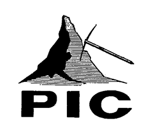 PIC trademark
