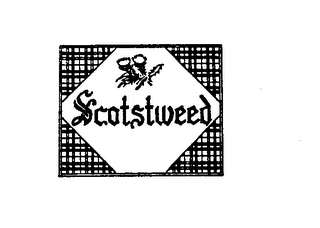 SCOTSTWEED