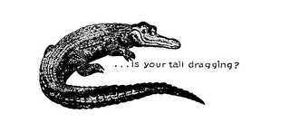IS YOUR TAIL DRAGGING? trademark