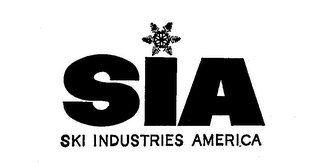 SIA SKI INDUSTRIES AMERICA