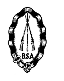 B.S.A.