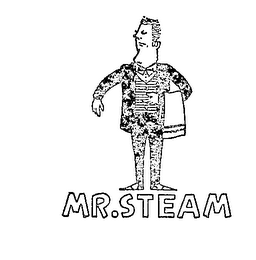 MR. STEAM trademark
