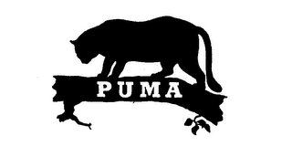 PUMA