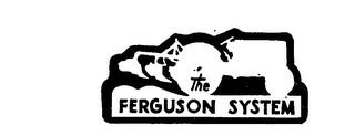 THE FERGUSON SYSTEM