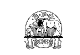 -B-P-O. DOES trademark