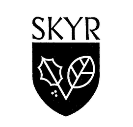 SKYR