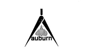 AUBURN trademark