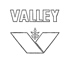 VALLEY V