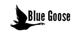 BLUE GOOSE