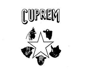 CUPREM trademark