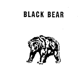 BLACK BEAR