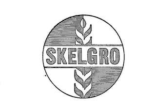 SKELGRO