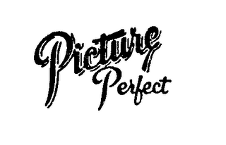 PICTURE PERFECT