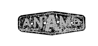 A-N-A-M-O ANHYDROUS AMMONIA trademark