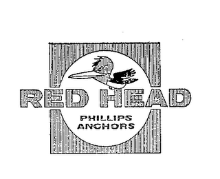 RED HEAD PHILLIPS ANCHORS