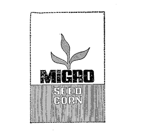 MIGRO SEED CORN