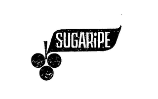 SUGARIPE